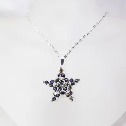 Pendant 45cm - Corvus-Silver Chain - Pendant 45cm - Laiton argenté